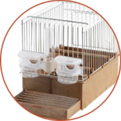 2GR Songbird Cage Art.020 - New York Bird Supply