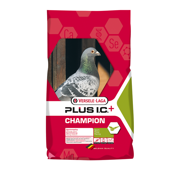 l-carnitine for racing pigeons ACE Bird Supply Store Vita B Plus + Taurine