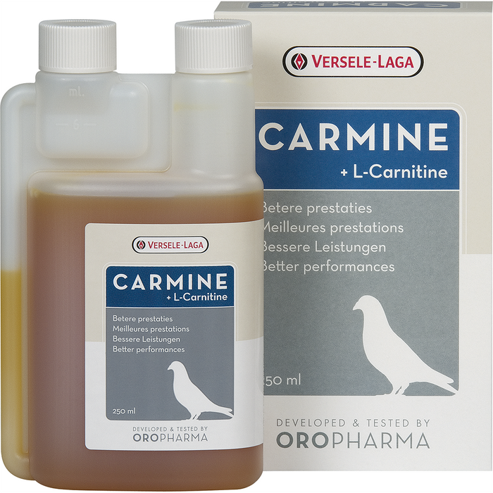 Oropharma Carmine Mega Forte + L-Carnitine 250 ml Global Pigeon Supplies Inc. Oropharma Carmine Mega Forte + L-Carnitine 250 ml Global Pigeon Supplies Inc.