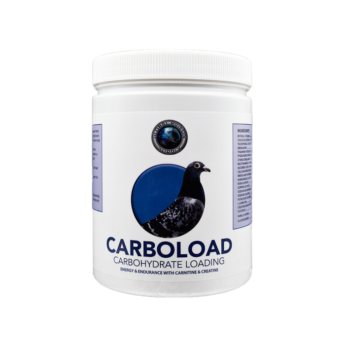 Pigeon Vitality L-Carnitine Complex with Magnesium-Calcium 100g — Global  Pigeon Supplies Inc.