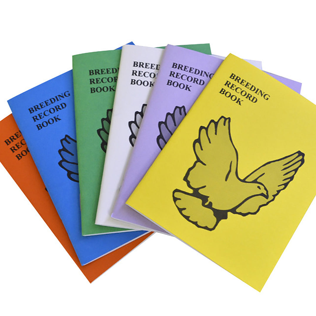 Complete Pigeon Loft Supplies Ensure Comfort and Care — Global Pigeon