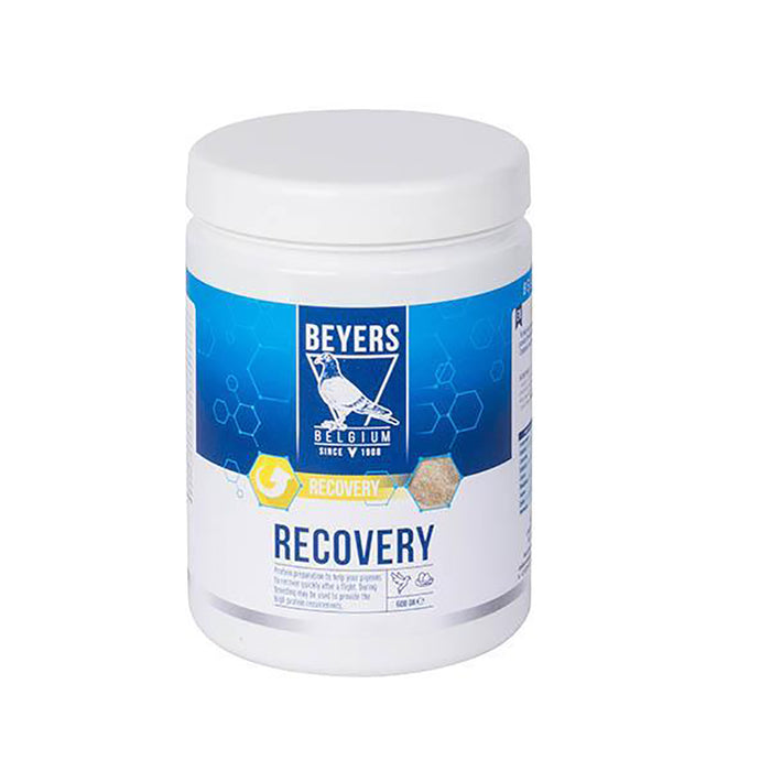 Beyers Recovery Plus 600g