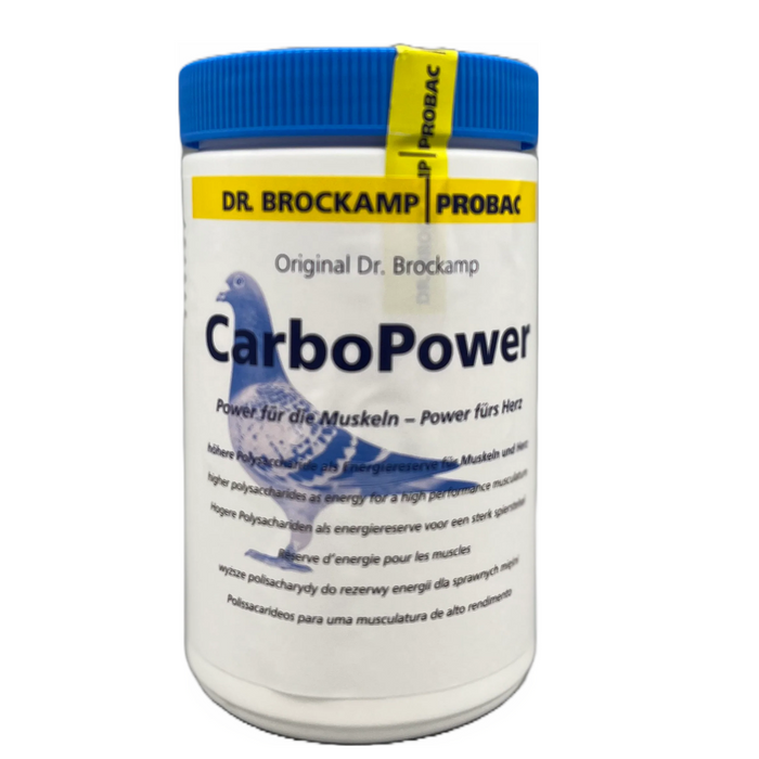 Dr. Brockamp Carbo Powder 500 g