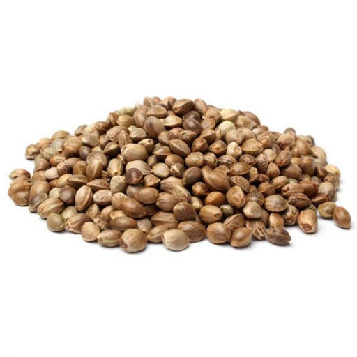 buy hemp seeds for planting Hemp Seed (Sterilized) 5 lb