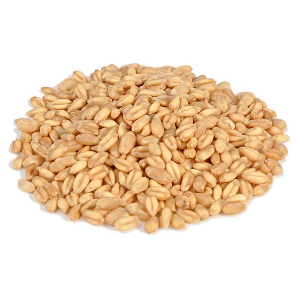 Wheat 40lbs